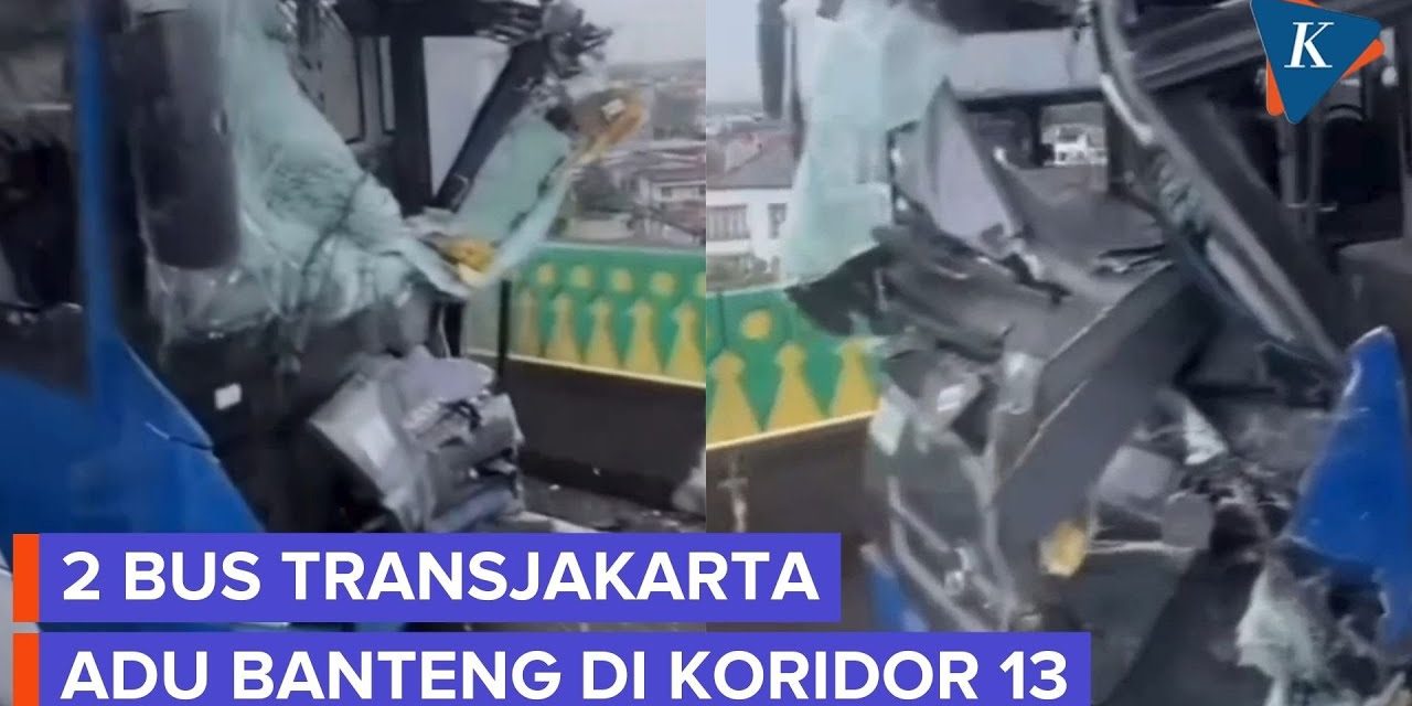 Insiden Adu Banteng Di Koridor 13, Transjakarta Tanggung Jawab