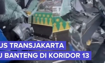 Insiden Adu Banteng Di Koridor 13, Transjakarta Tanggung Jawab