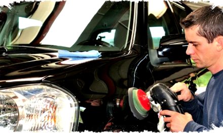 Cat Mobil Berjamur? Ini 6 Cara Ampuh Mengatasinya Di Rumah