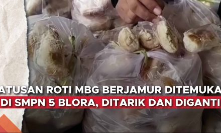Kasus Roti Berjamur, BGN Tutup Sementara Puluhan SPPG