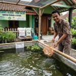 Cara Memulai Usaha Ternak Ikan Skala Kecil: 15 Ide Untuk Pemula