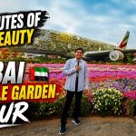 Destinasi Bertema Oasis Siap Jadi Daya Tarik Baru Di Dubai