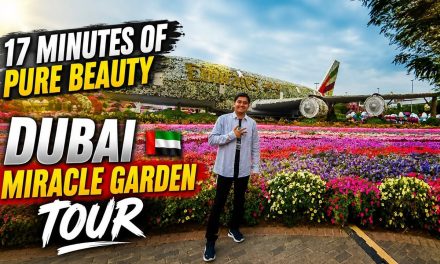 Destinasi Bertema Oasis Siap Jadi Daya Tarik Baru Di Dubai