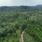 Keharmonisan Alam Inisiatif Baru Untuk Melestarikan Ekosistem