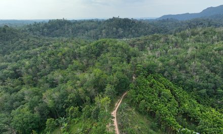 Keharmonisan Alam Inisiatif Baru Untuk Melestarikan Ekosistem