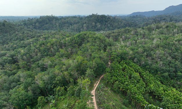 Keharmonisan Alam Inisiatif Baru Untuk Melestarikan Ekosistem