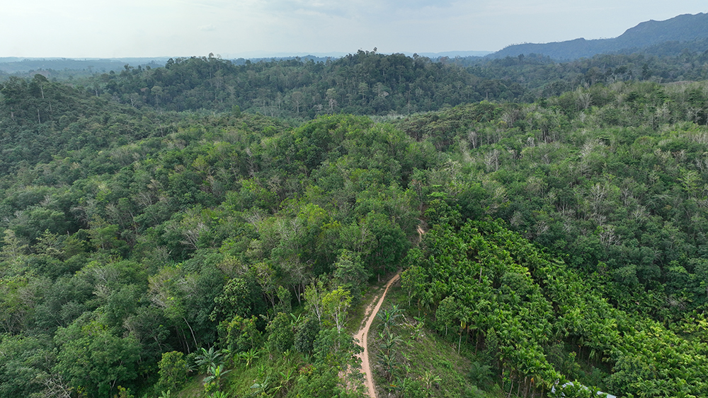 Keharmonisan Alam
