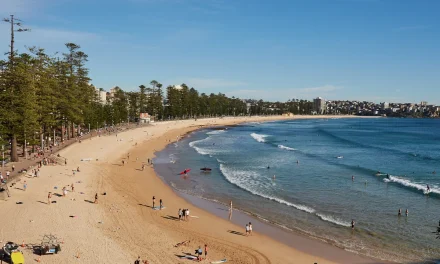 Pemerintah Sydney Tegaskan Larangan Naik Bus Dengan Bikini