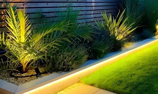 Peran Penting Lampu Taman Untuk Estetika Dan Keamanan
