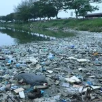 Tumpukan Sampah Penuhi Waduk Badovc, Warga Kosovo Resah