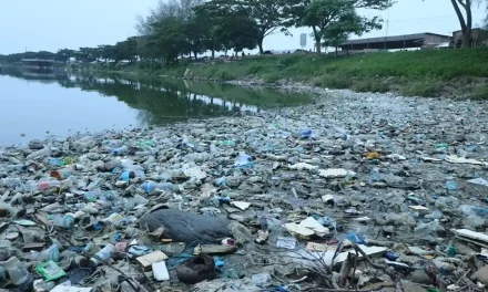 Tumpukan Sampah Penuhi Waduk Badovc, Warga Kosovo Resah