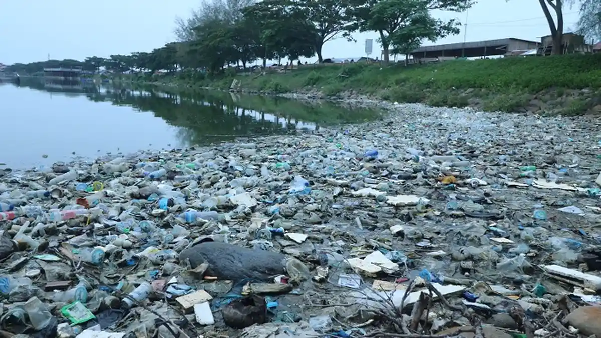Tumpukan Sampah