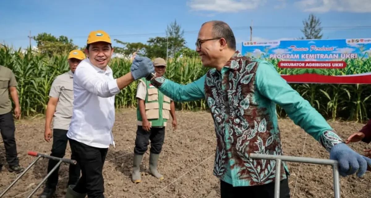 Sistem Mikro Kredit Mampu Membantu Kesehjatraan Para Petani