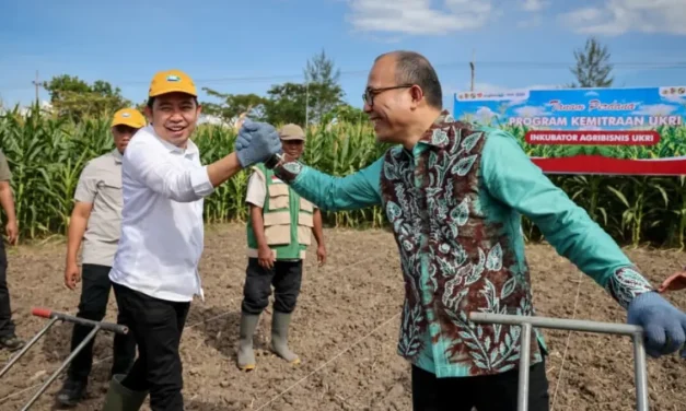 Sistem Mikro Kredit Mampu Membantu Kesehjatraan Para Petani