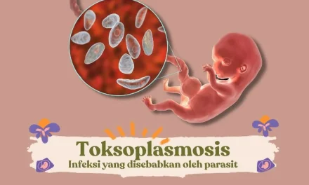 Jangan Abaikan! Inilah Jejak Toksoplasma Yang Krusial Bagi Bumil