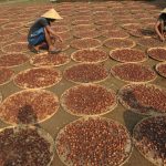 Daerah Kaya Rempah Yang Ada Di Tanah Air