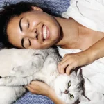 Menjadi Cat Lovers, Memahami Perilaku Dan Kebutuhan Kucing
