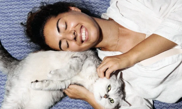 Menjadi Cat Lovers, Memahami Perilaku Dan Kebutuhan Kucing
